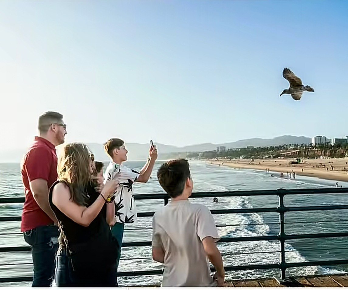 Family on Santa Monica Pier looking out at the ocean and a seagull in flight