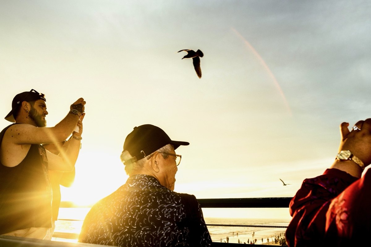 People on Santa Monica Pier at sunset photographing a seagull in flight